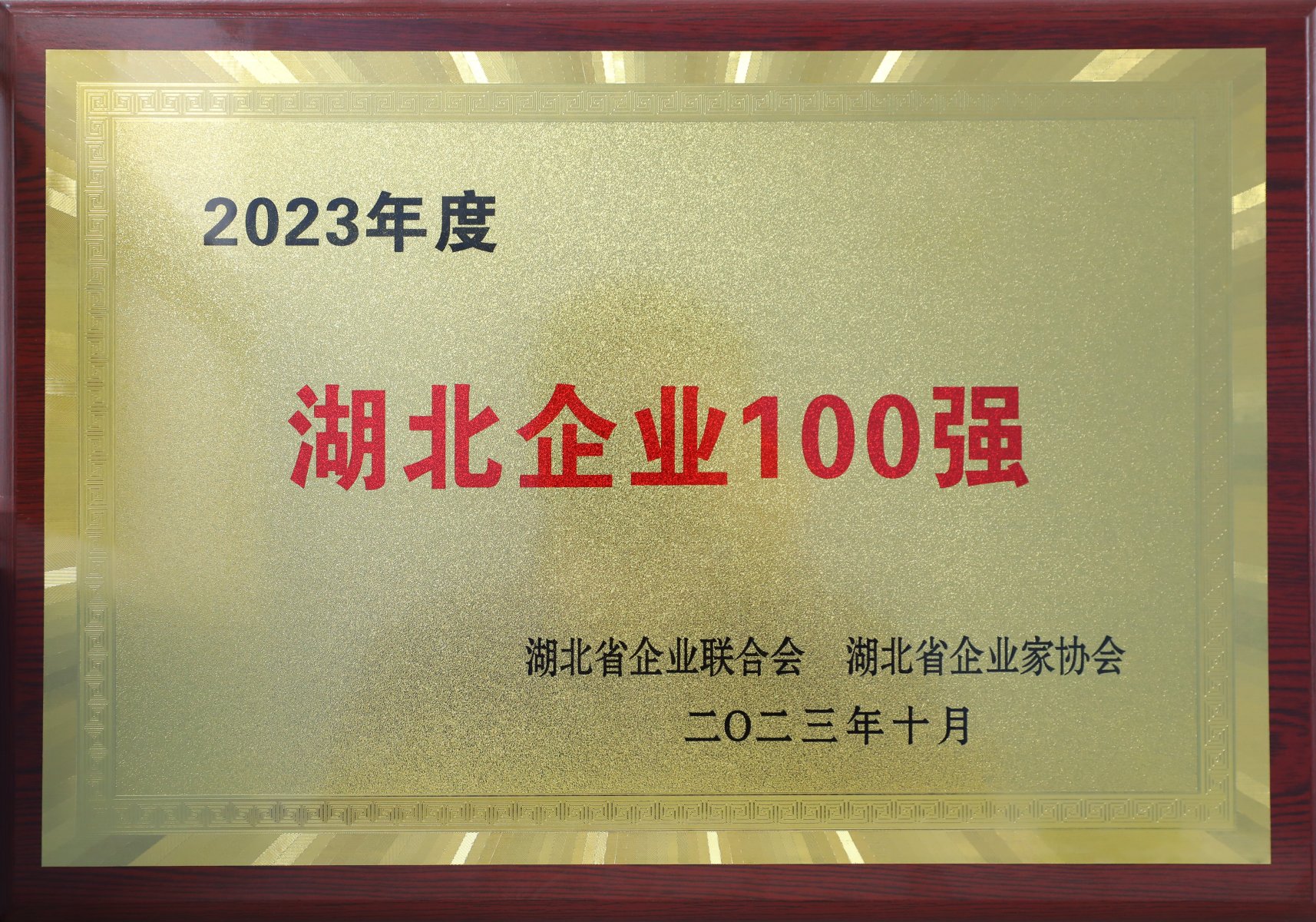 2023年度湖北省百強企業